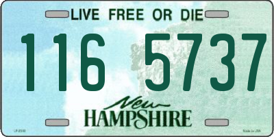 NH license plate 1165737