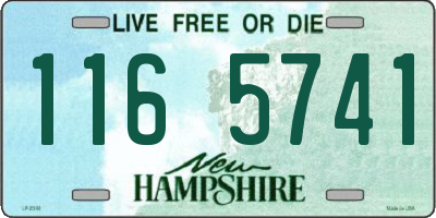 NH license plate 1165741