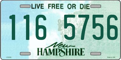NH license plate 1165756