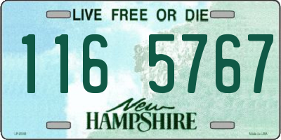 NH license plate 1165767