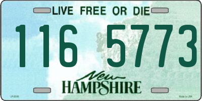NH license plate 1165773