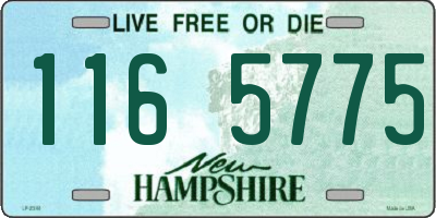 NH license plate 1165775