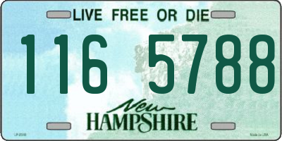 NH license plate 1165788