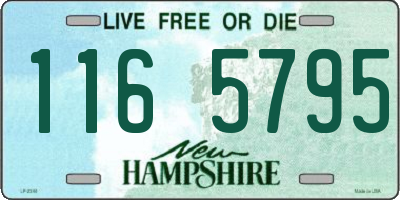 NH license plate 1165795