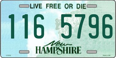 NH license plate 1165796