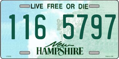 NH license plate 1165797