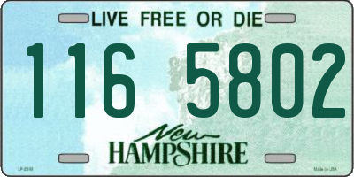NH license plate 1165802