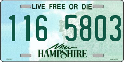 NH license plate 1165803