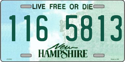 NH license plate 1165813