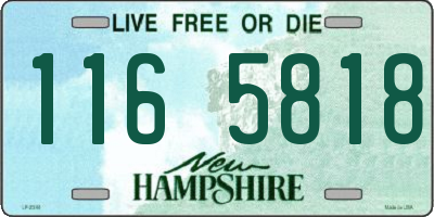NH license plate 1165818