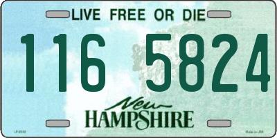 NH license plate 1165824