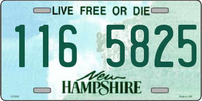NH license plate 1165825