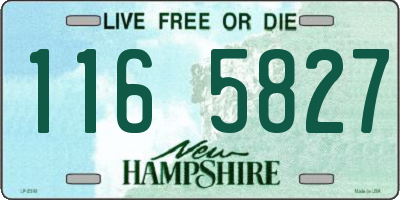 NH license plate 1165827