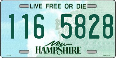 NH license plate 1165828