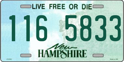NH license plate 1165833