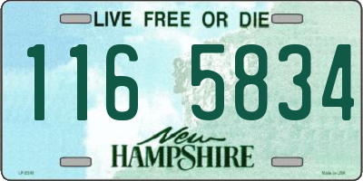 NH license plate 1165834