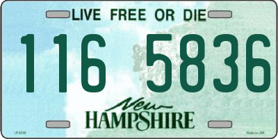 NH license plate 1165836