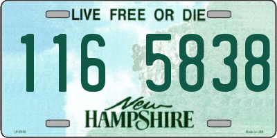 NH license plate 1165838