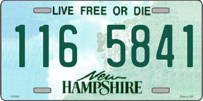 NH license plate 1165841