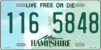NH license plate 1165848