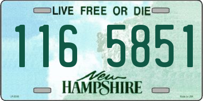 NH license plate 1165851