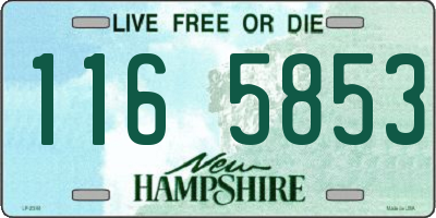 NH license plate 1165853
