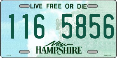 NH license plate 1165856