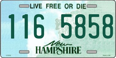 NH license plate 1165858