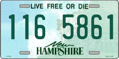 NH license plate 1165861