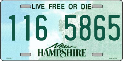 NH license plate 1165865