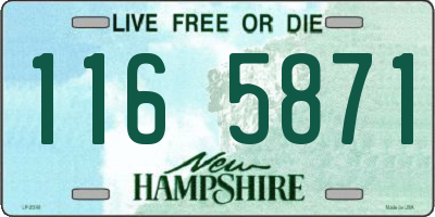 NH license plate 1165871