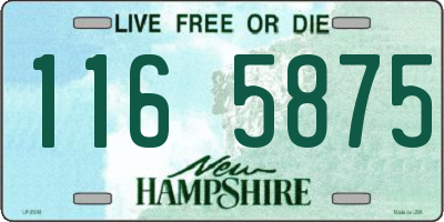 NH license plate 1165875