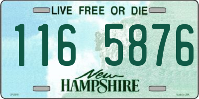NH license plate 1165876