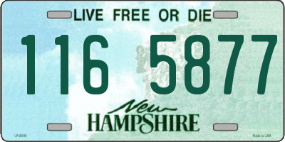 NH license plate 1165877