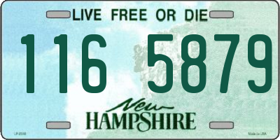 NH license plate 1165879