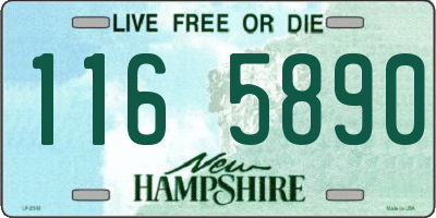 NH license plate 1165890