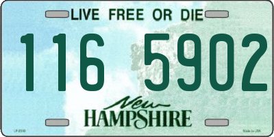 NH license plate 1165902