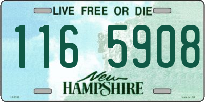 NH license plate 1165908