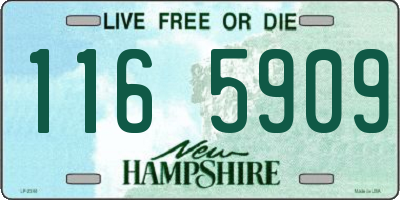 NH license plate 1165909
