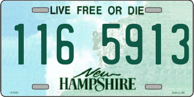 NH license plate 1165913