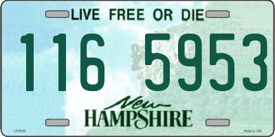 NH license plate 1165953