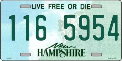 NH license plate 1165954