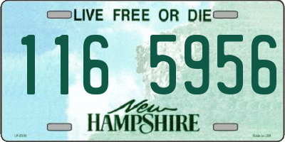 NH license plate 1165956
