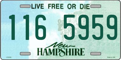 NH license plate 1165959