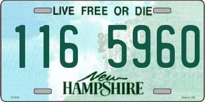 NH license plate 1165960