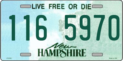 NH license plate 1165970