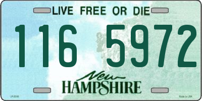 NH license plate 1165972