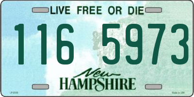 NH license plate 1165973
