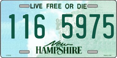 NH license plate 1165975