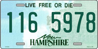 NH license plate 1165978